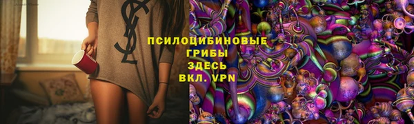 PSILOCYBIN Верея